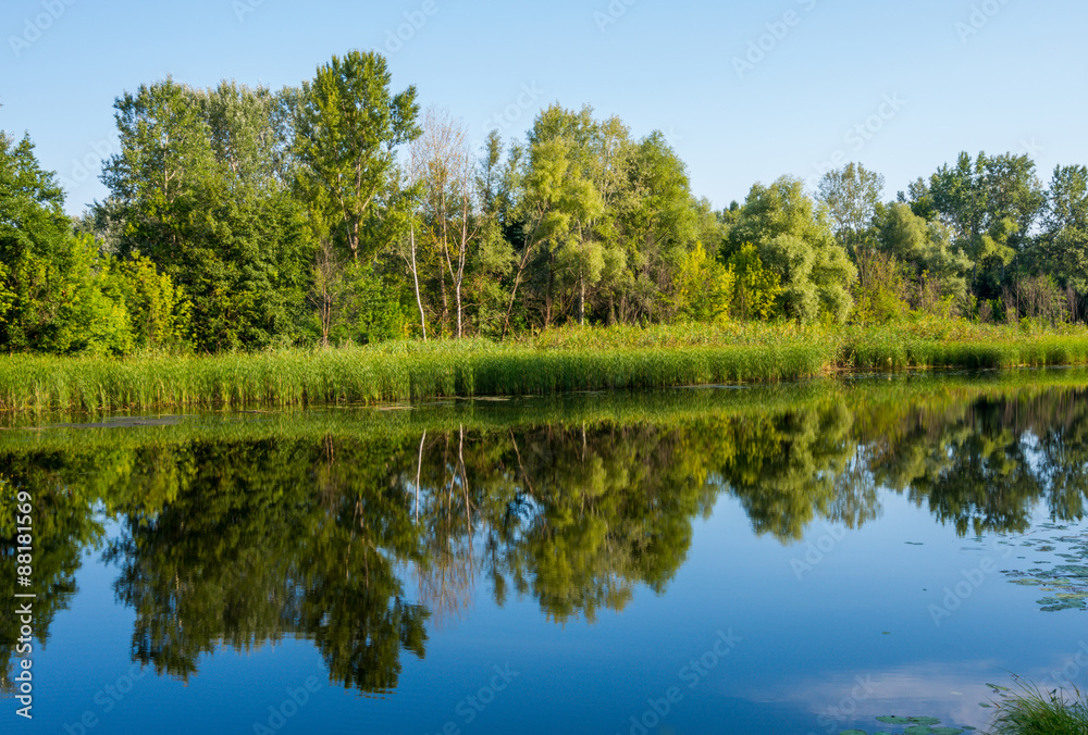 Sunny day on a calm river in summer