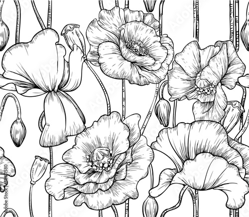 Fototapeta Naklejka Na Ścianę i Meble -  seamless pattern of black and white poppies