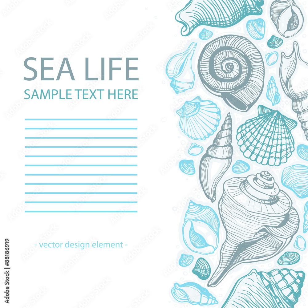 Sea Shells background with place for text. Vector illustration. Sea ...