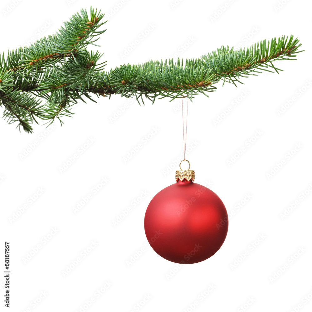 red christmas blank ball hanging on fir branch, white