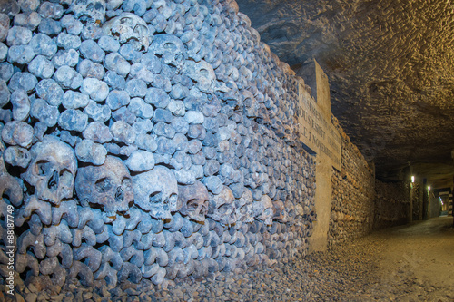 Quadro em tela Paris Catacombs Skulls and bones