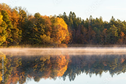 iew of a Deciduous forest Colourful Autumn with fog on the lake