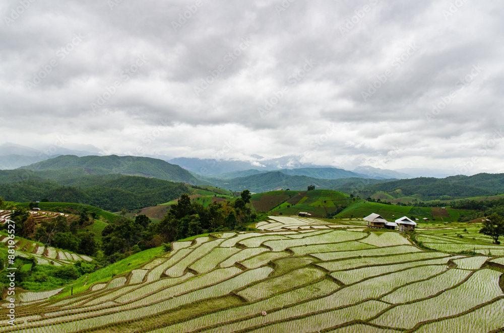 rice terraces in northern thailand