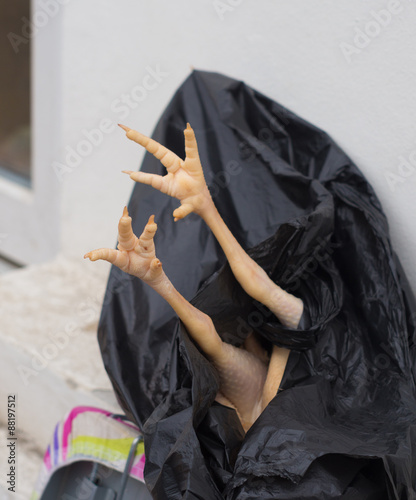 Canvas Print chicken feet