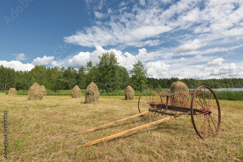 Traditional Finnish haystacks and hayrake in a hayfield photo