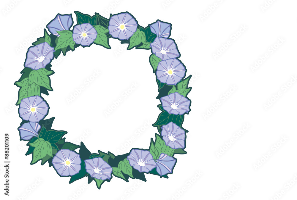 Fototapeta premium 朝顔「円形」図案-白色の背景（はがき横書き） ・夏の草花「朝顔」をイラストにしました。「朝顔」単体と、はがきサイズの比率のイラストを用意しました。