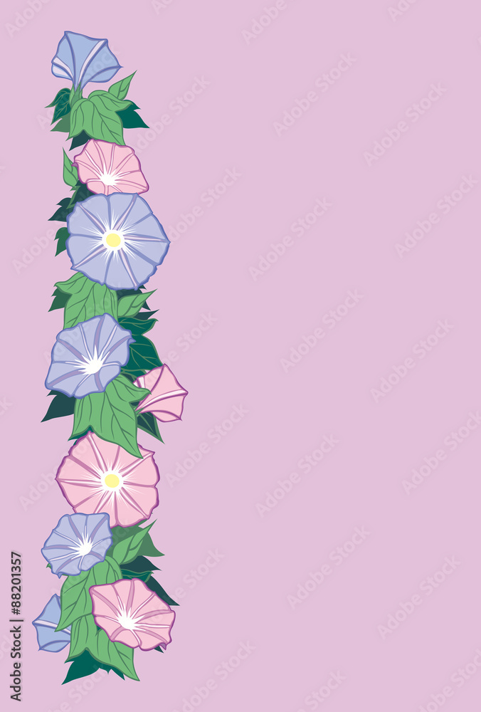 朝顔 基本図案 薄紅色の背景 はがき縦書き 夏の草花 朝顔 をイラストにしました 朝顔 単体と はがきサイズの比率のイラストを用意しました Stock ベクター Adobe Stock