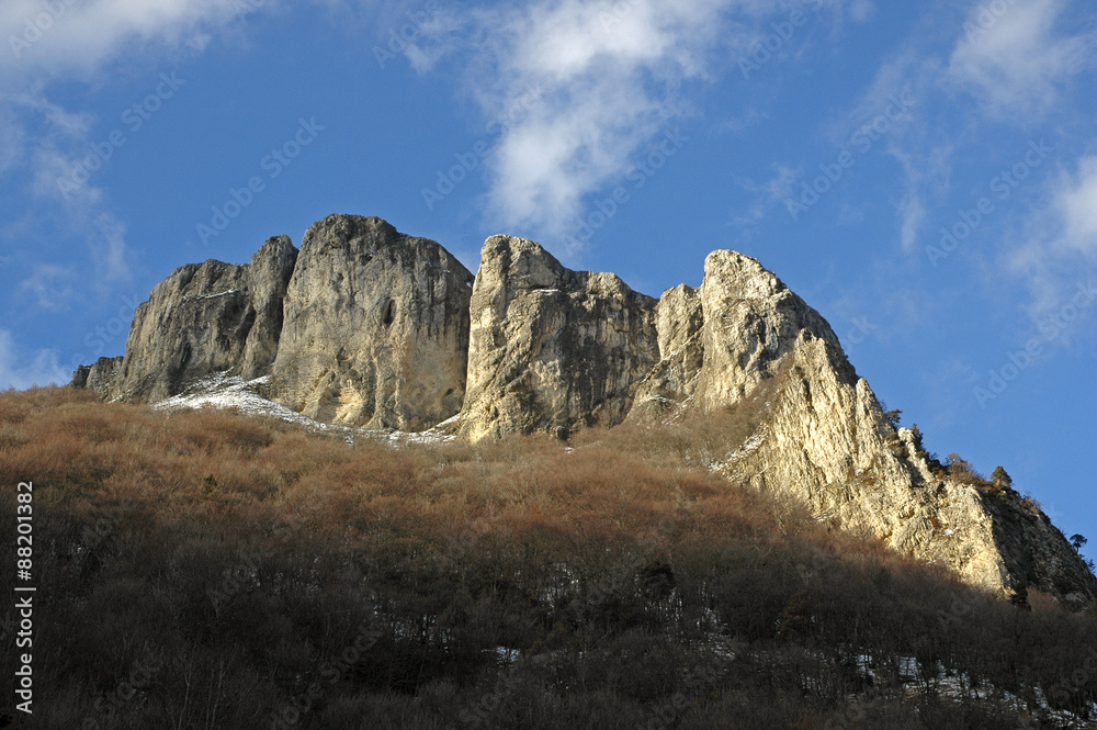 Col de Rousset, Le plateau en hiver, Parc naturel régional du Vercors, 26, Drôme, Region Rhone Alpes, France