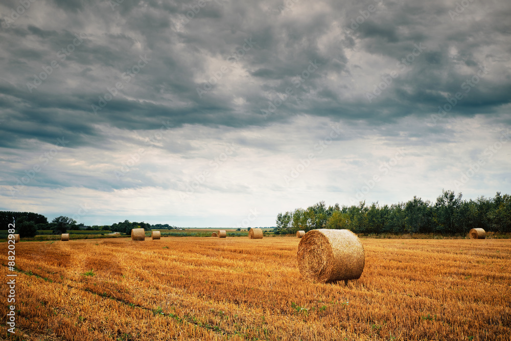 Bales on a field