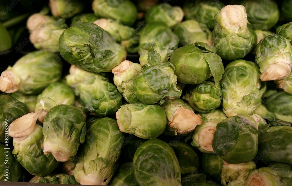 Brussel Sprouts at a produce stand Brussel Sprouts at a produce stand