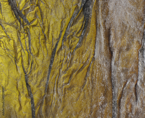 Abstract blur background, dappled pattern of salty leaf dry kelp, seaweed Dashi Kombu