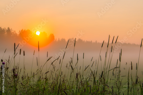 Sunset in the field © samitiainen