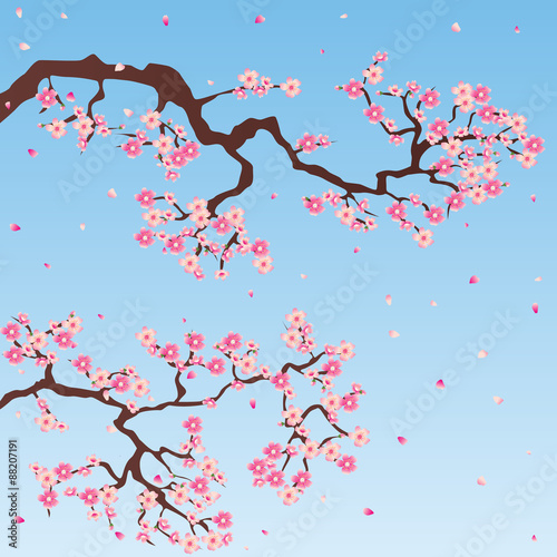 Sakura tree