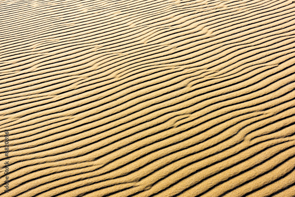 Fototapeta premium Sand on the dunes