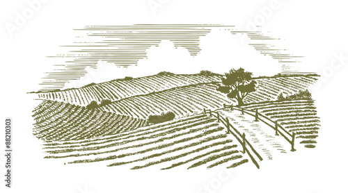 Woodcut Countryside
