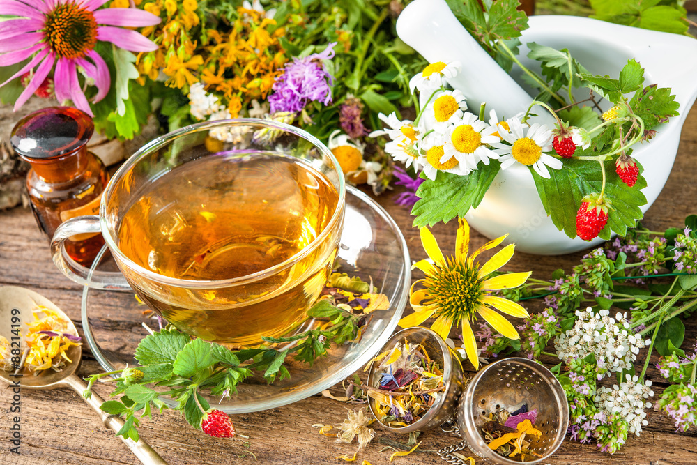 Cup of herbal tea with wild flowers and various herbs StockFoto