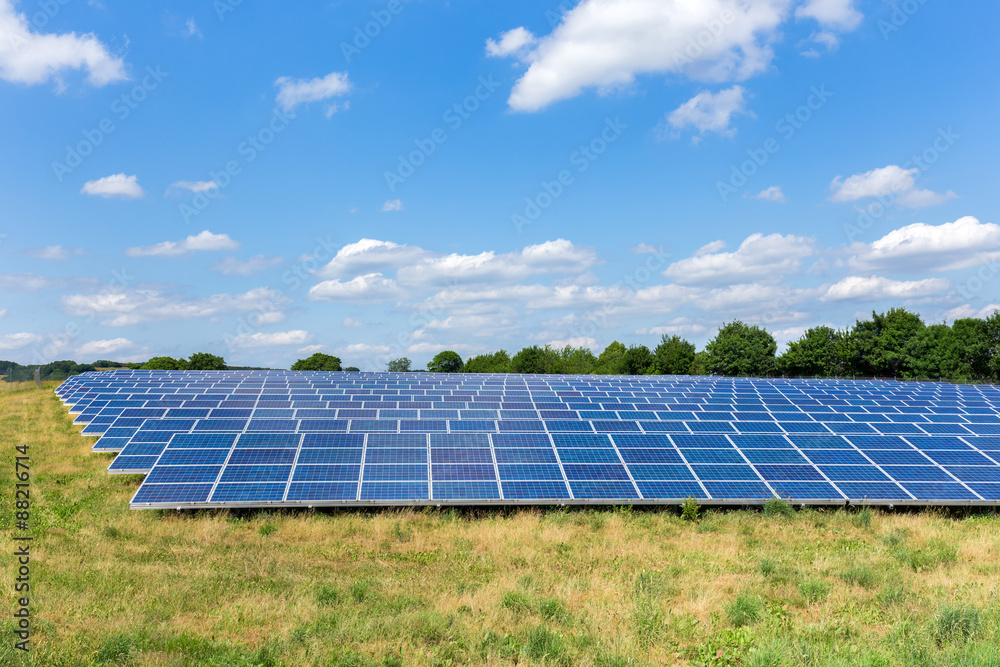 Field with lots of solar collectors Field with lots of solar collectors