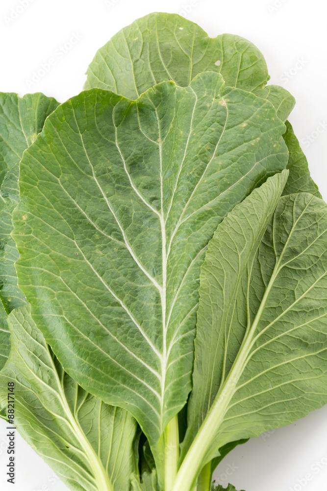 Chinese mustard green Chinese mustard green