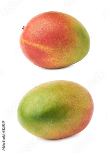 Single mango fruit isolated