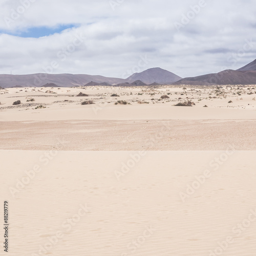 Landschaft mit D  nen bei Corralejo auf Fuerteventura  Kanaren