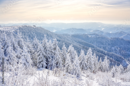 Winterlandschaft Schwarzwald  © Sina Ettmer