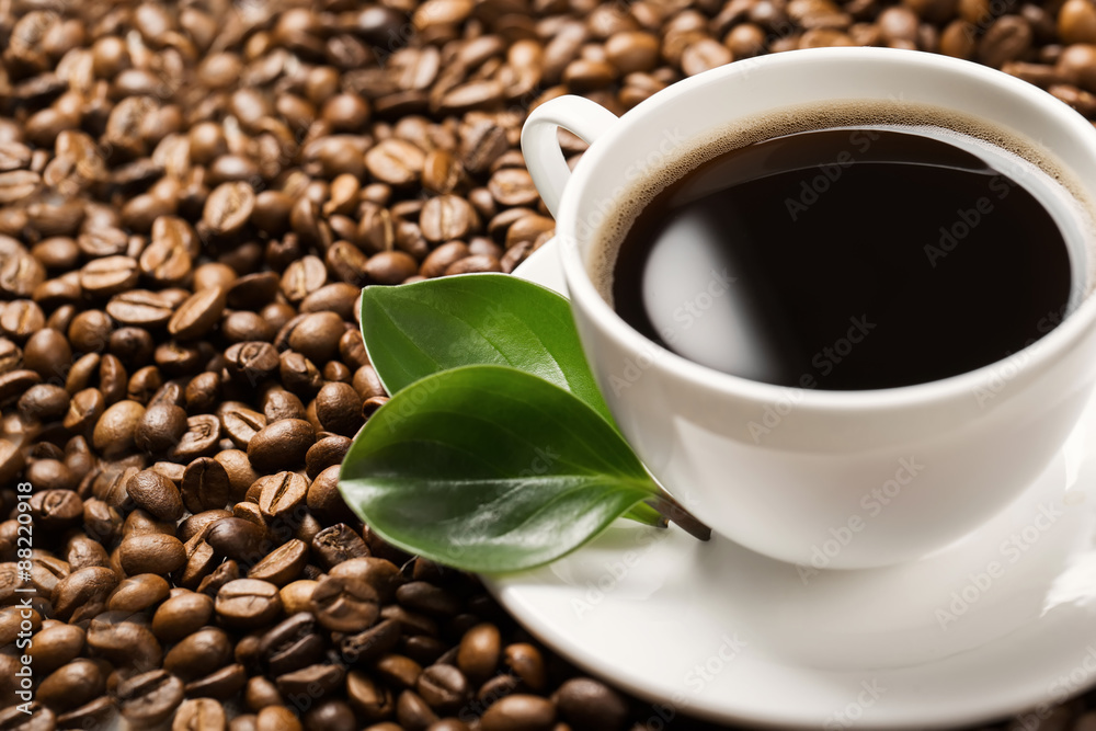 Fototapeta premium Coffee cup and saucer