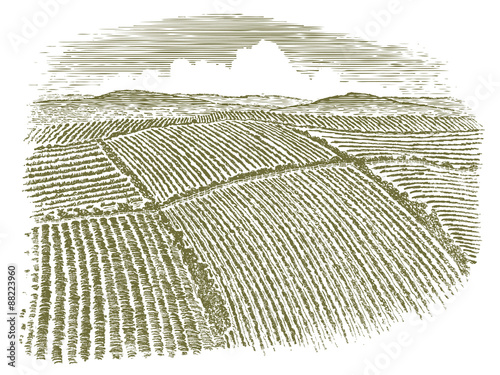 Woodcut Aerial View of Field