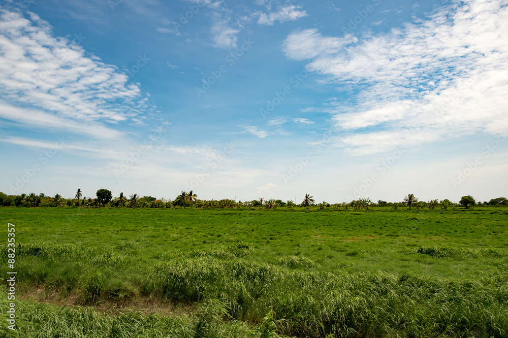 Obraz premium Sky Meadows