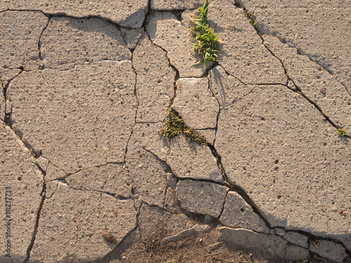 Broken Concrete Sidewalk