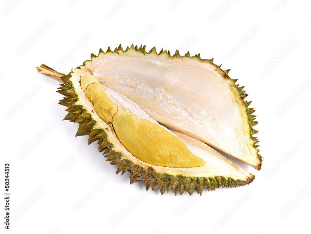 Durian king fruit isolated on white background. Durian king fruit isolated on white background.