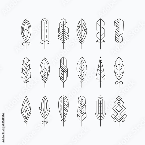Graphical line feathers set.
