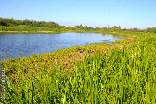 River at sunny day.