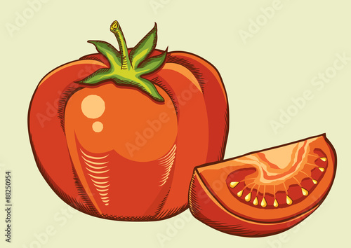 Red tomatos.Vector fresh vegetable isolated illustration