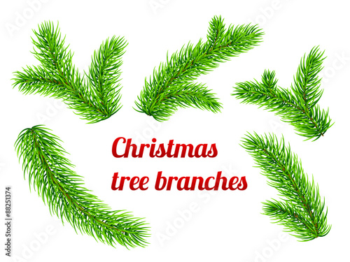 Christmas tree branches
