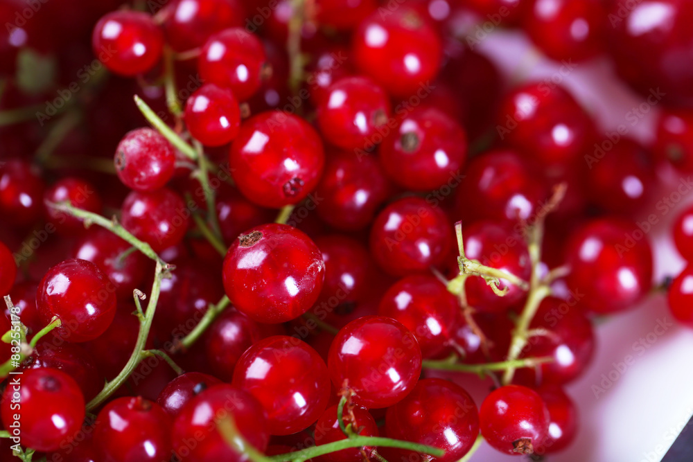Ripe red currants on table, closeup