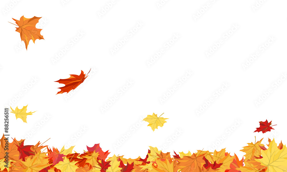 Naklejka premium Autumn