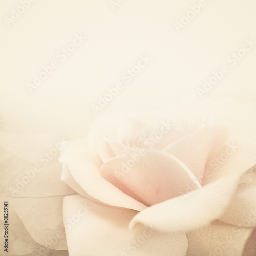 Wallpaper Mural sweet color roses in soft and blur style on mulberry paper texture
 Torontodigital.ca
