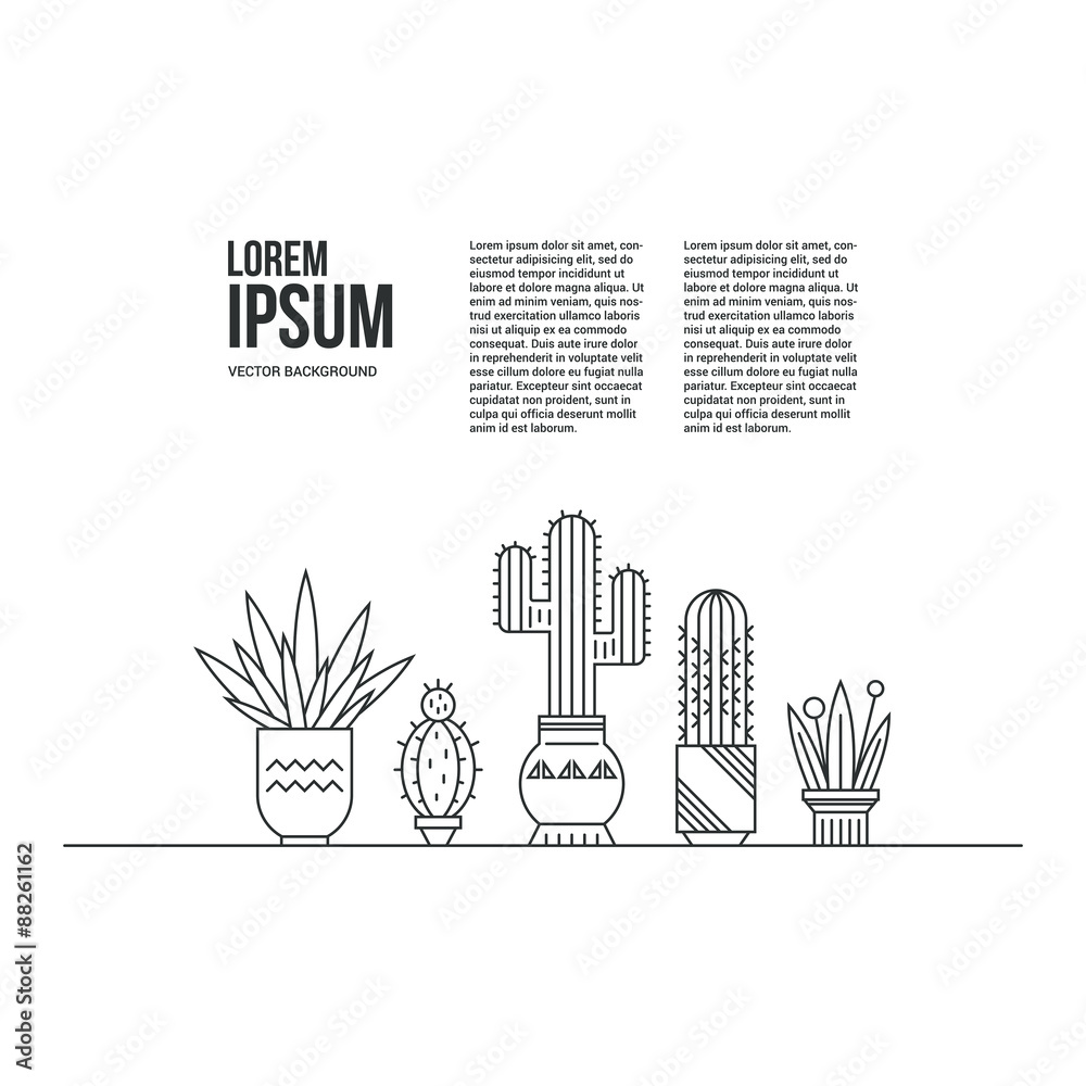 Obraz premium Cactus