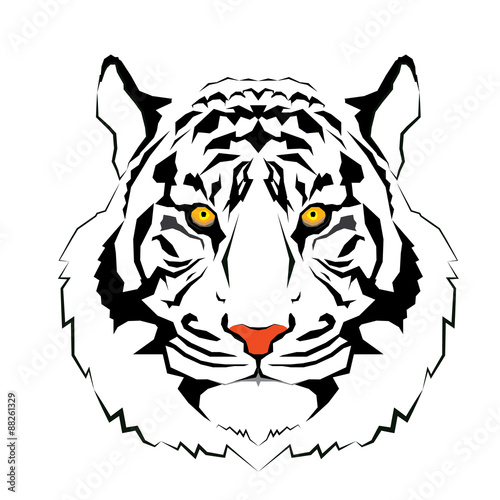 Fototapeta Naklejka Na Ścianę i Meble -  Tiger head - vector illustration