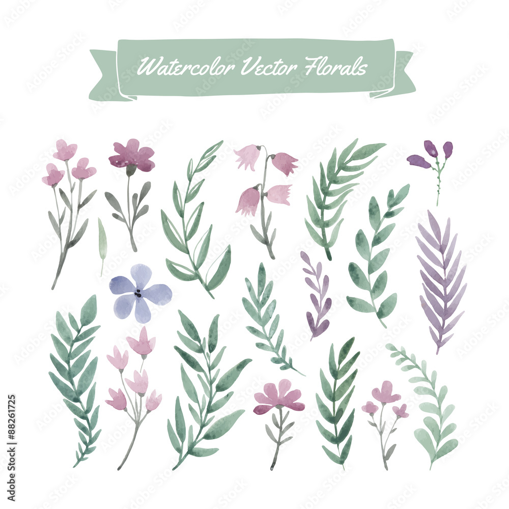 Watercolor Flowers Watercolor Flowers