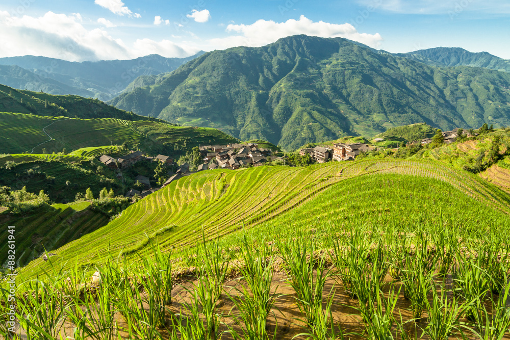 Longsheng rice terraces guilin china landscape