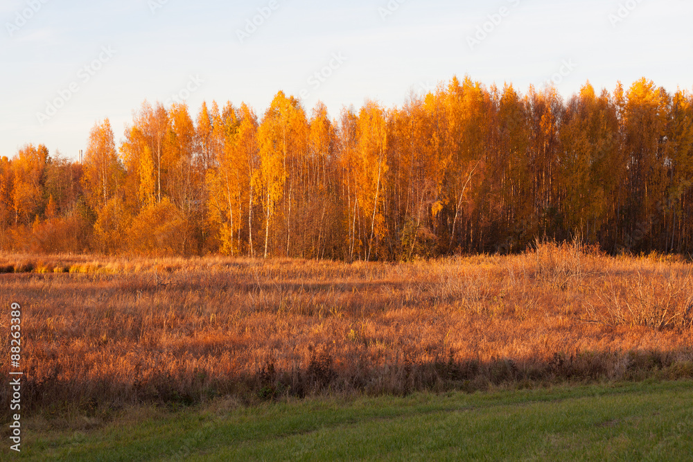 Nature landscape in autumn colors