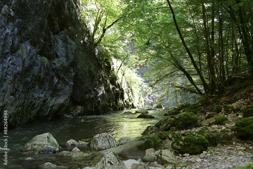 Obraz premium Rivière