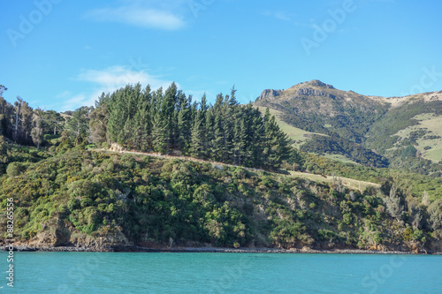 View of Akaroa © alarico73