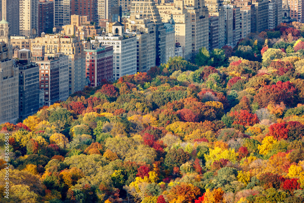 Fototapeta premium Brilliant fall colors of Central Park foliage in late afternoon. Aerial view toward Central Park West. Upper West Side, Manhattan, New York City