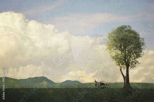 Vintage landscape with single tree and carter