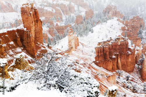 The cold beauty of Bryce Canyon in winter