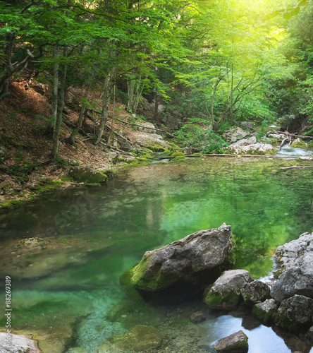 River deep in mountain forest