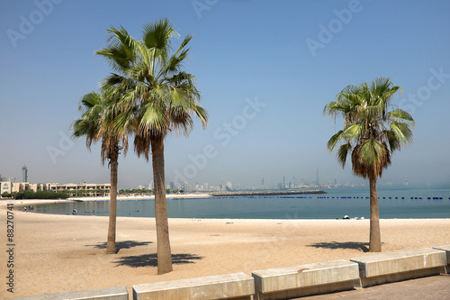 Spiaggia con palme