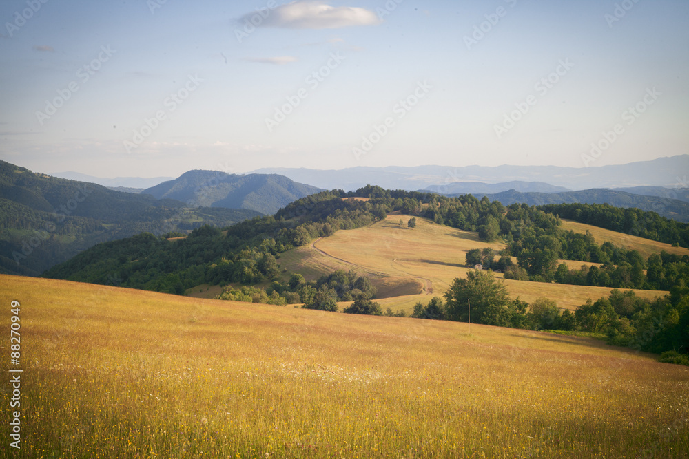Hills in the Carpathian Mountains
